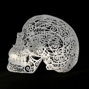 Grand crâne 3D print (profil)