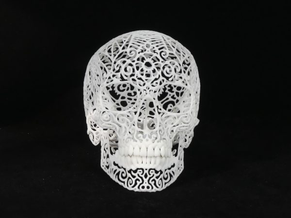 Crâne 3D print (face)