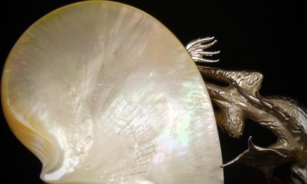 Coupelle lézard (dessous)