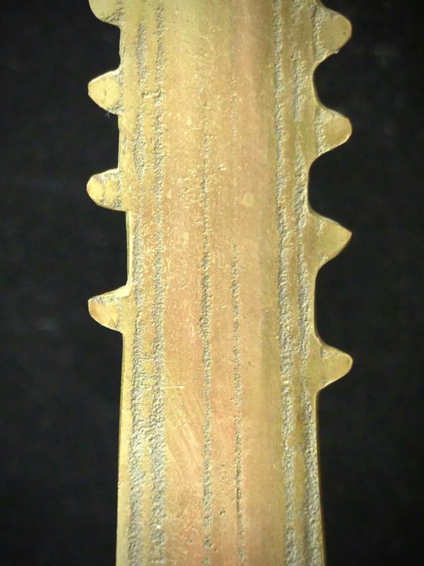 Rostre poisson-scie (détail)