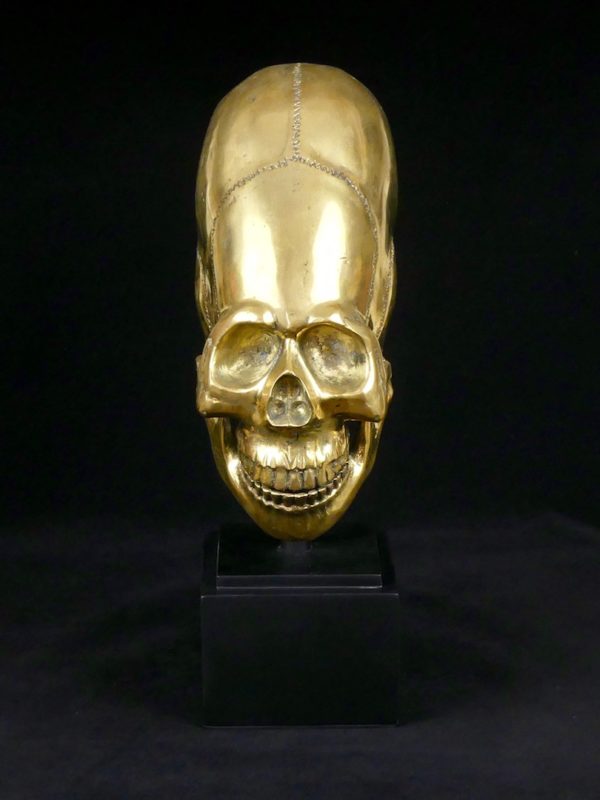 Crâne allongé (face)