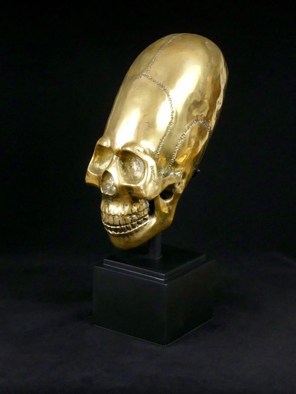 Crâne allongé (3/4)