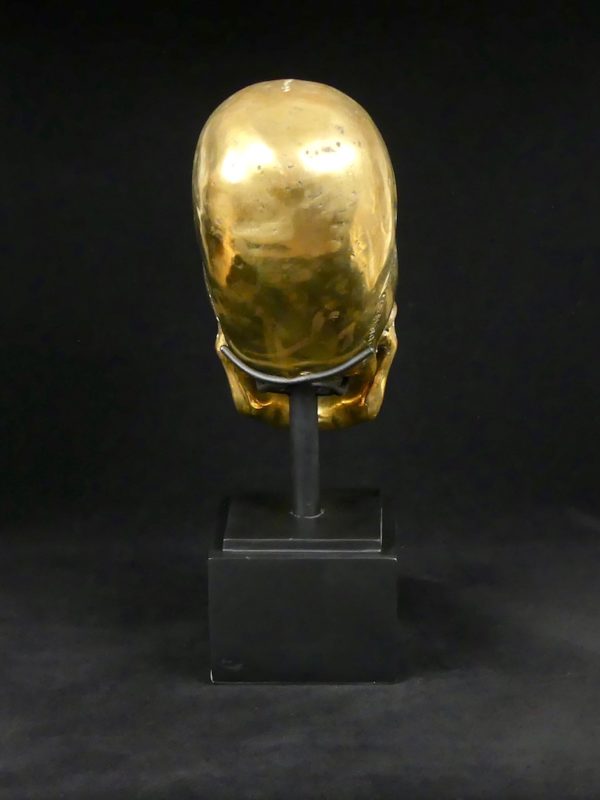 Crâne allongé (dos)