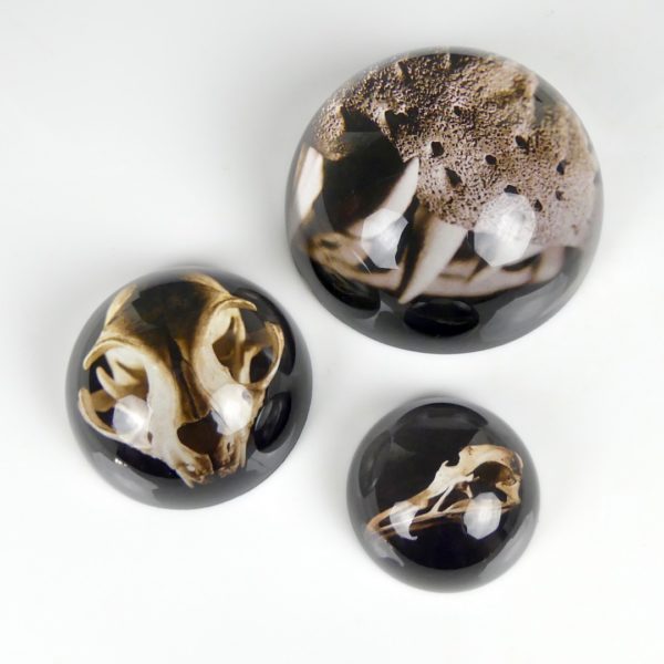 Presses-papiers en verre