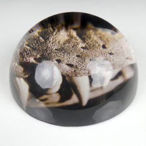 Presse-papiers en verre 1