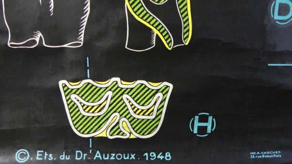 Affiche scolaire le Bœuf (détail 4)