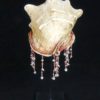 Coquillage Cassis cornuta (face)