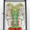 Langouste verte