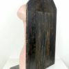 Buste anatomie clastique (3/4 dos)