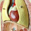 Buste anatomie clastique (détail 2)