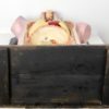 Buste anatomie clastique (fond)