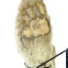 Chaussons inuit anciens – Image 6