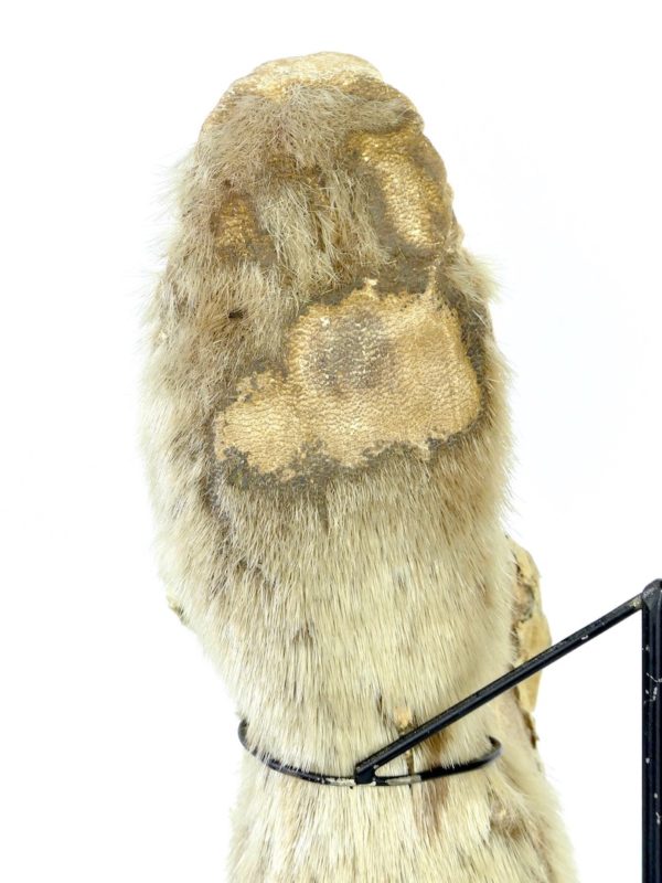 Chaussons inuit anciens – Image 6