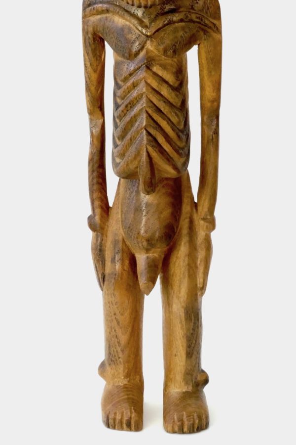 Grand Moaï Kavakava (corps détail)