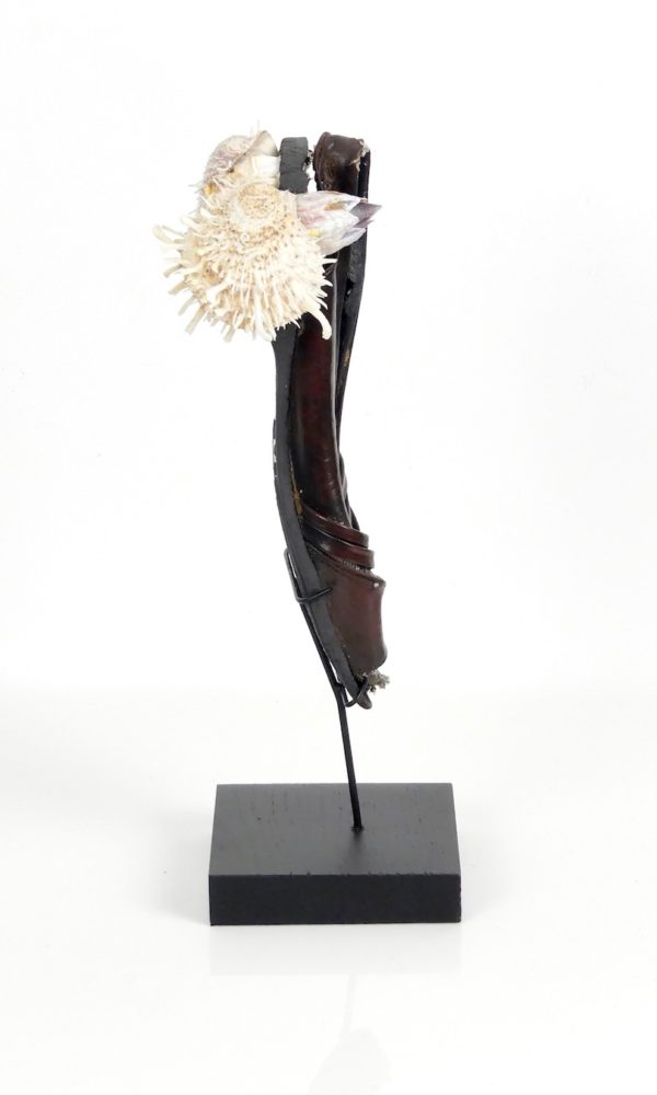 Ballerine et coquillages (profil)