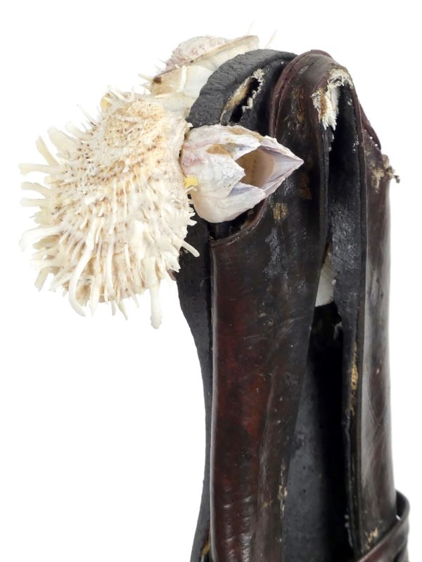 Ballerine et coquillages (balanes et spondylus)