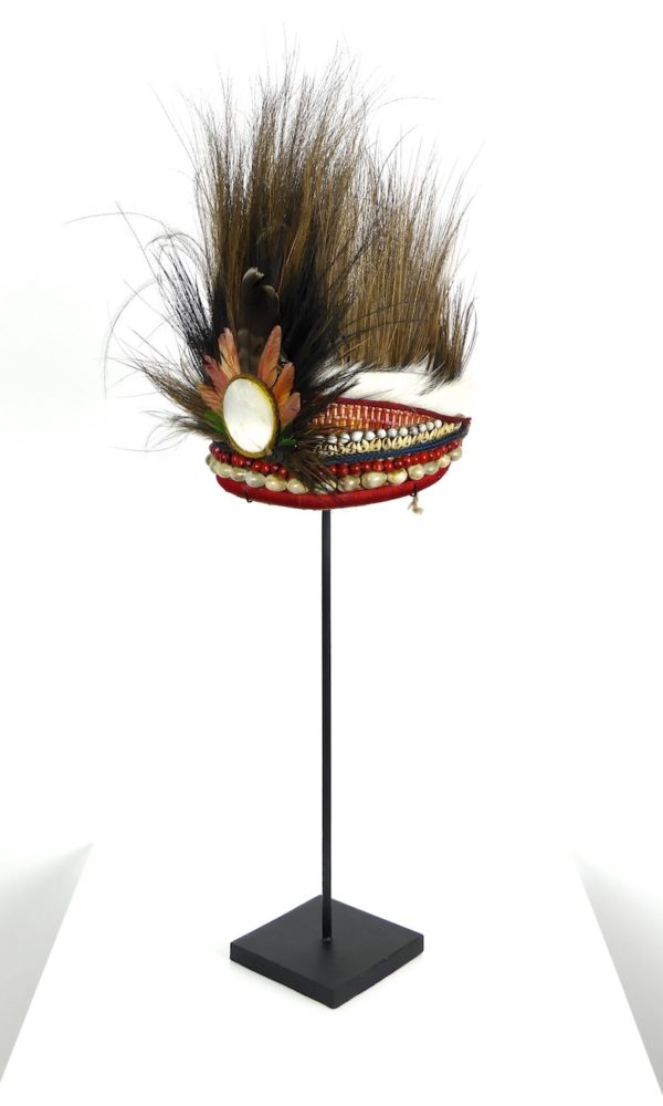 Coiffe de cérémonie Papou (3/4)