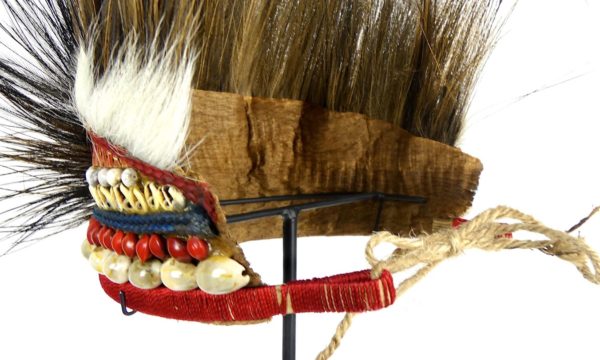 Coiffe de cérémonie Papou (détail)