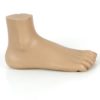 Modèle anatomique de pied (profil)