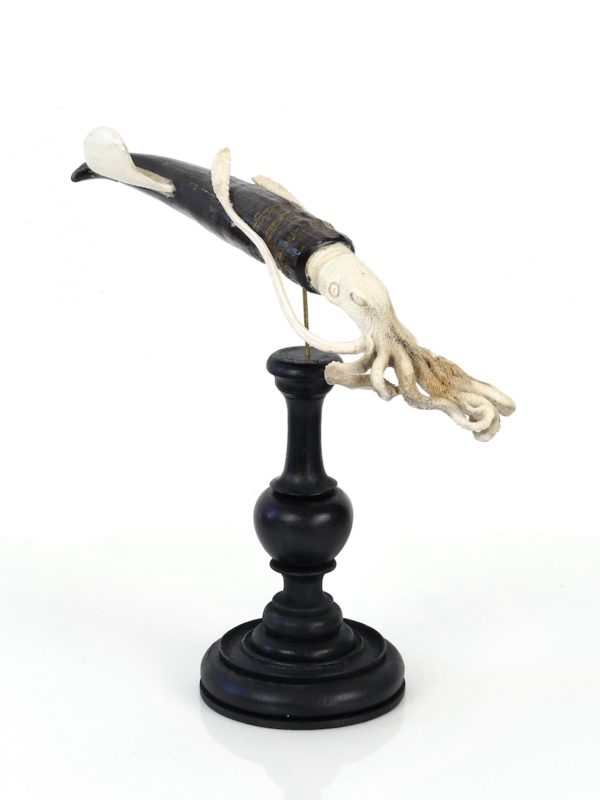 Calmar géant en os et corne (3/4)