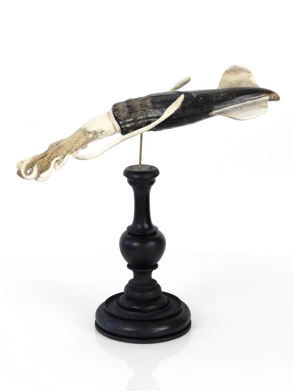 Calmar géant en os et corne (profil)