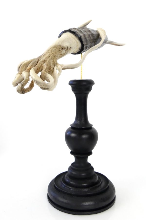 Calmar géant en os et corne (3/4)