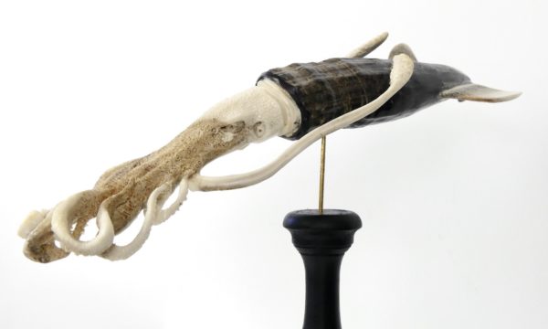 Calmar géant en os et corne (3/4 détail)