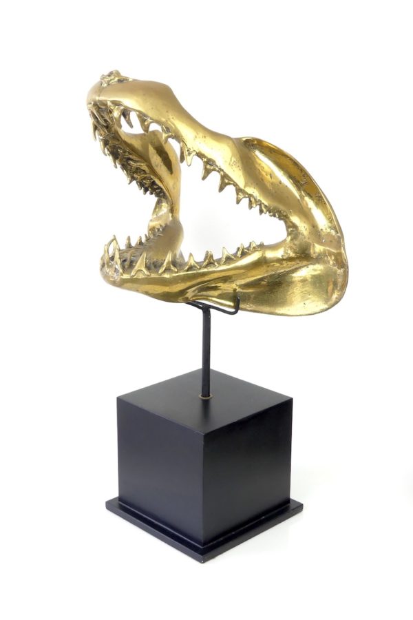 Grande mâchoire de requin mako en laiton – Image 3