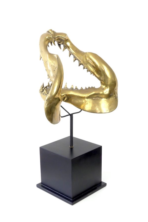 Grande mâchoire de requin mako en laiton – Image 5