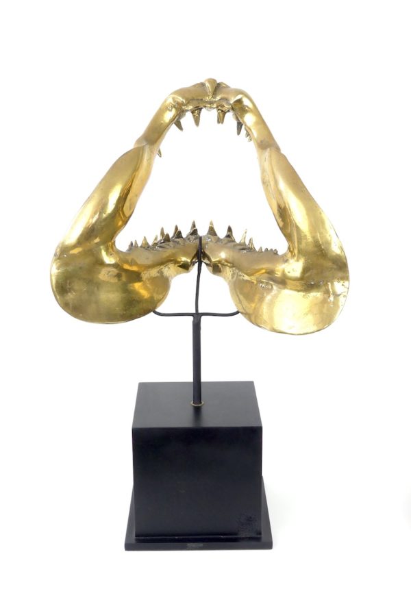 Grande mâchoire de requin mako en laiton – Image 9