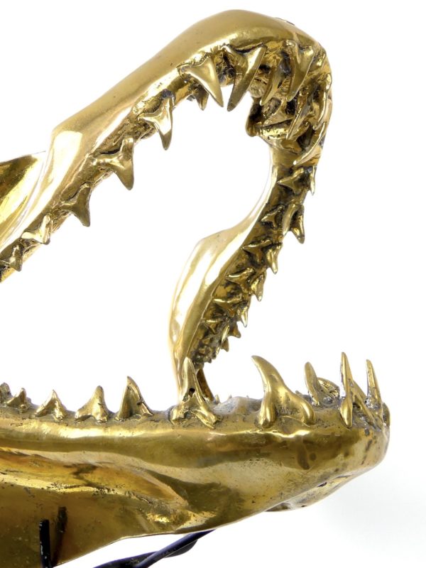 Grande mâchoire de requin mako en laiton – Image 6
