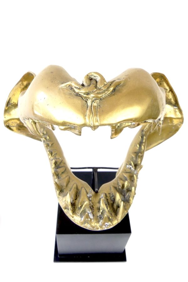 Grande mâchoire de requin mako en laiton – Image 8