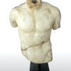 Torse d’Apollon tatoué (face)