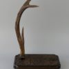 Tachi kake avec bois Kamakura-bori (profil)