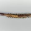 Couteau de guerrier Kiribati ancien (face 1)