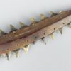 Couteau de guerrier Kiribati ancien (détail pointe)