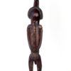 Grand Tangata Manu (dos)