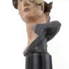 Écorché tête de David en résine (3/4)