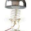 Lampe de bureau squelette (face)