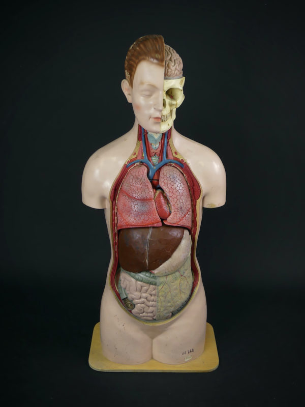 Grand mannequin clastique ancien (face)