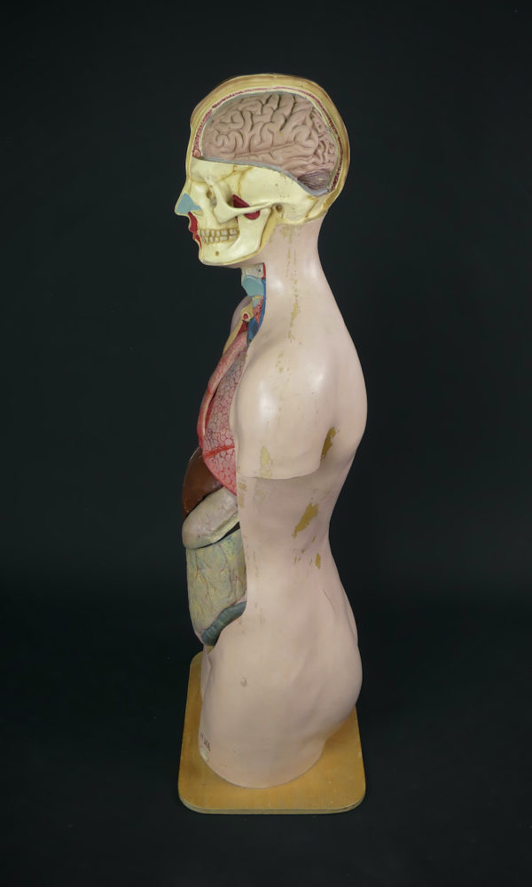 Grand mannequin clastique ancien (profil)