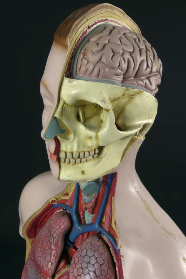 Grand mannequin clastique ancien (détail)