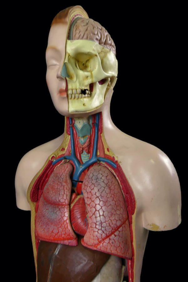 Grand mannequin clastique ancien (détail 3/4)