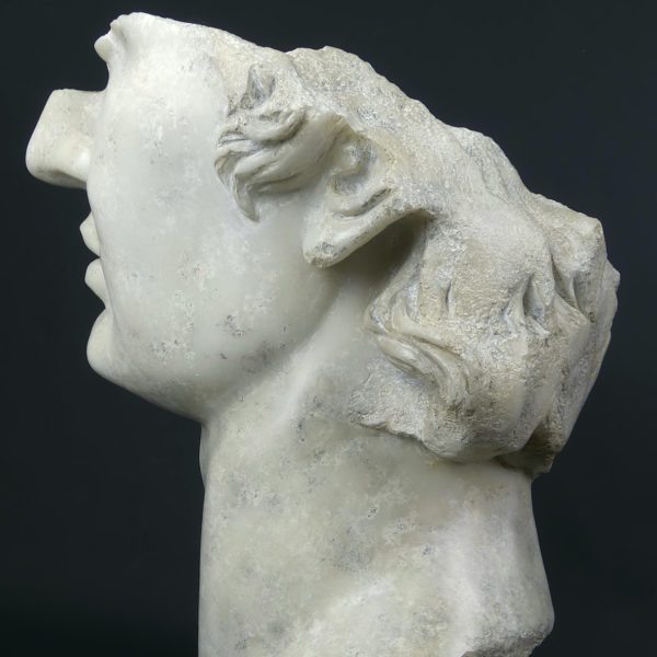 Grand fragment d’Apollon sur pied (détail profil)