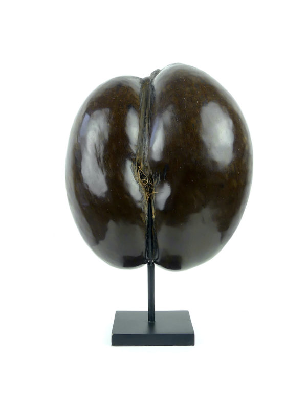 Coco-fesses poli sur pied (face)