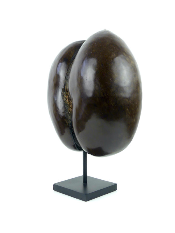 Coco-fesses poli sur pied (3/4)