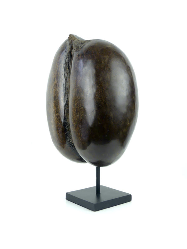 Coco-fesses poli sur pied (3/4 dos)