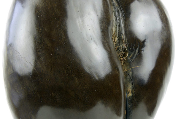 Coco-fesses poli sur pied (détail 3/4)