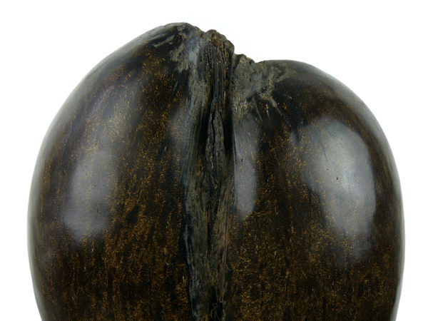 Coco-fesses poli sur pied (détail)