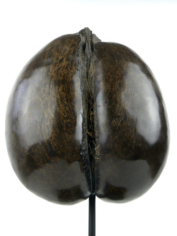 Coco-fesses poli sur pied (détail)